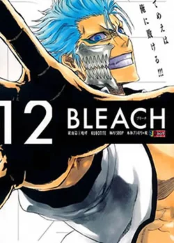 BLEACH REMIX 12