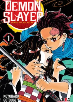 DEMON SLAYER - KIMETSU NO YAIBA 01
