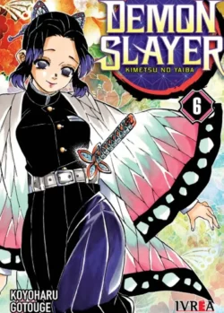 DEMON SLAYER - KIMETSU NO YAIBA 06