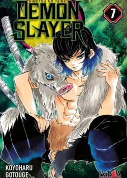 DEMON SLAYER - KIMETSU NO YAIBA 07