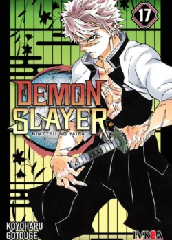 DEMON SLAYER - KIMETSU NO YAIBA 17