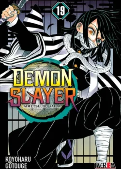 DEMON SLAYER - KIMETSU NO YAIBA 19