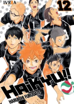 HAIKYU!! 12