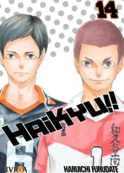 HAIKYU!! 14