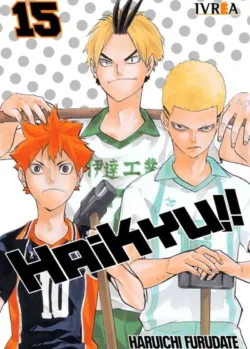 HAIKYU!! 15