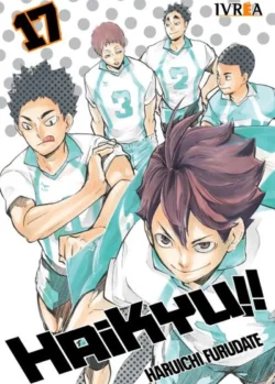 HAIKYU!! 17