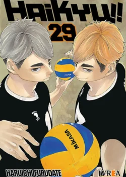 HAIKYU!! 29