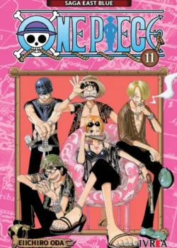 ONE PIECE 11