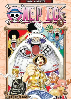 ONE PIECE 17