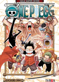 ONE PIECE 43