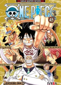ONE PIECE 45