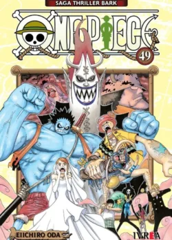 ONE PIECE 49