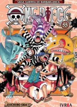 ONE PIECE 55