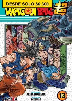 DRAGON BALL SUPER 13